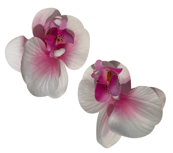 直前割引 - 市川孝さん 湯呑み 2個 - 最短発送:11666円 - ブランド