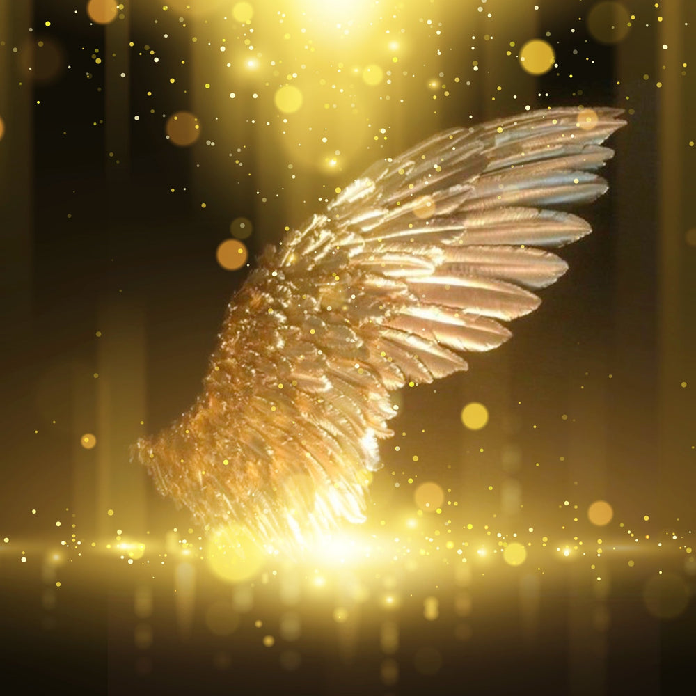 コレクション – FILLICO ONLINE SHOP