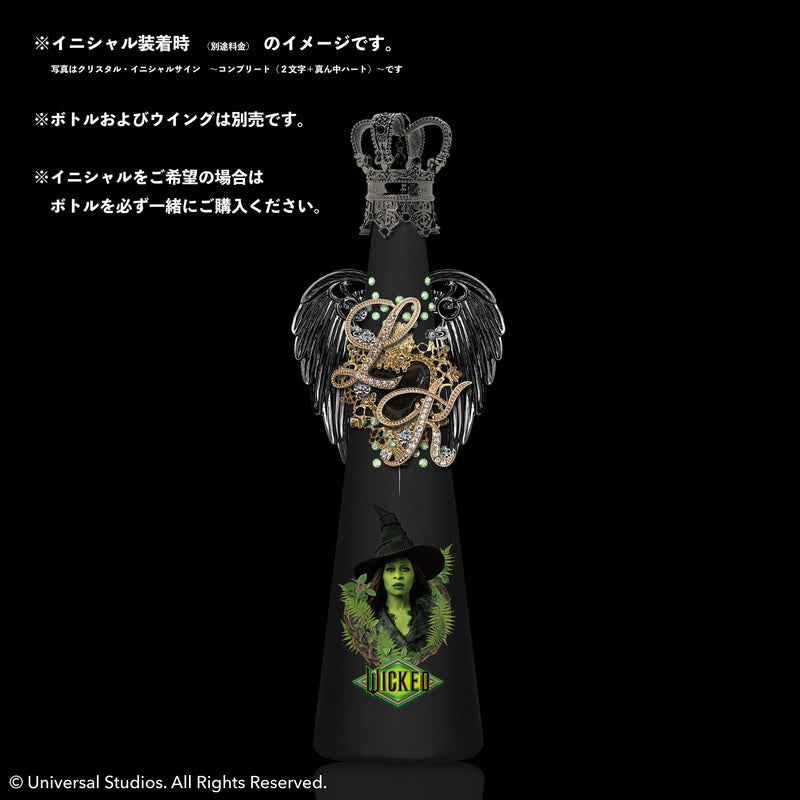 🧙わるい魔女？🧹ウィキッドコラボ ～エルファバ（シンシア